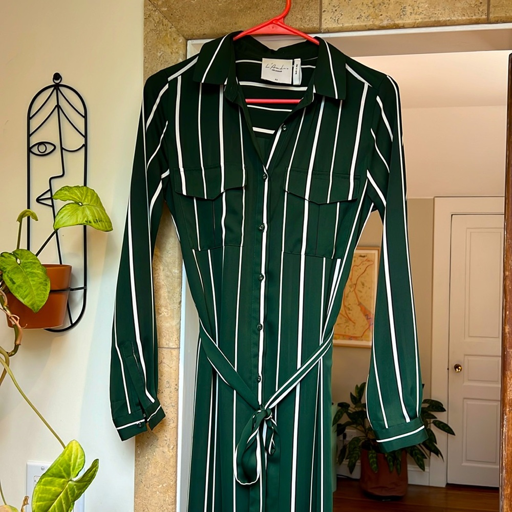 L’Academie Long Sleeve Shirt Dress in Green Stripe